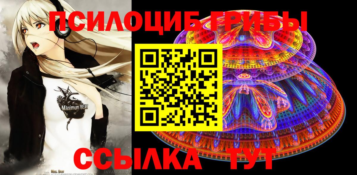 Комсомольск-на-Амуре  Галлюциногенные грибы мицелий  Вход с VPN 