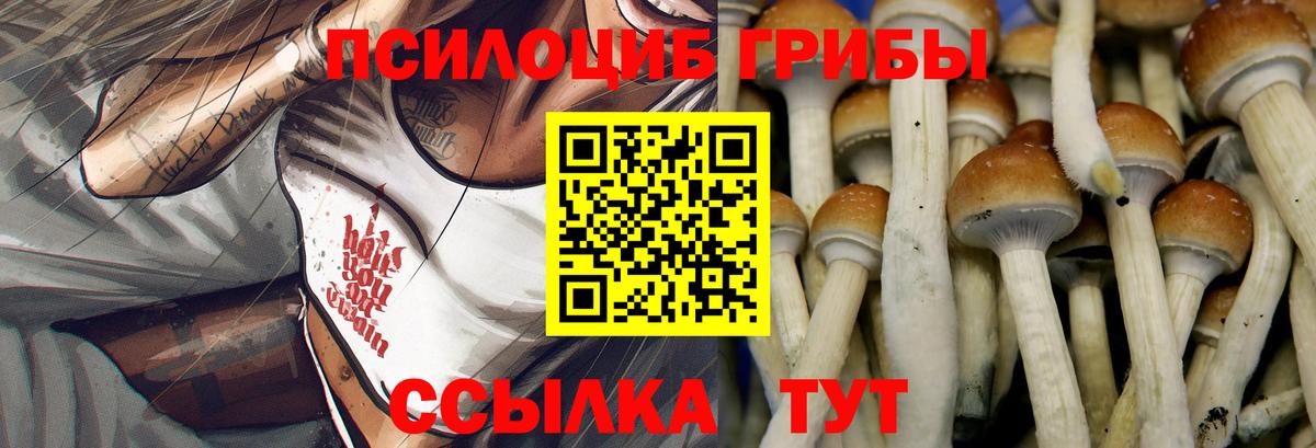 Псилоцибиновые грибы ЛСД Комсомольск-на-Амуре